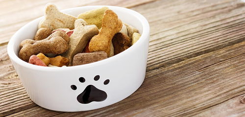 為愛寵保駕護航 全面解讀寵物食品檢驗測試服務